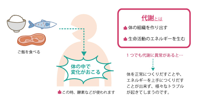 メープルシロップ尿症とは | MSUD-JAPAN